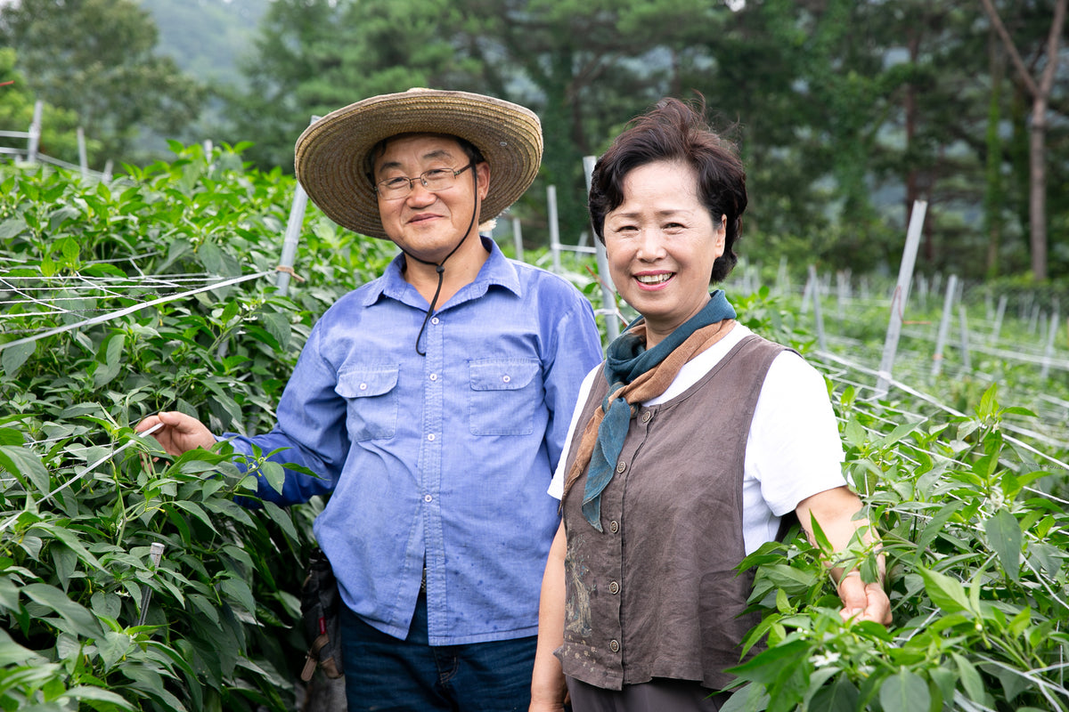 Bang Young-gil of Yeongyang Red Farm 방영길 - 영양레드팜