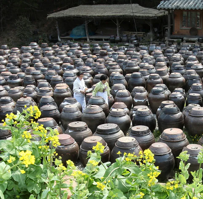 Kisoondo Extra Mature 5+ Years Ganjang 기순도 명인진장