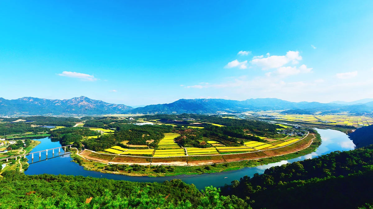 Sunchang Moon Okrye Traditional Gochujang in Onggi 순창문옥례 전통 고추장 옹기