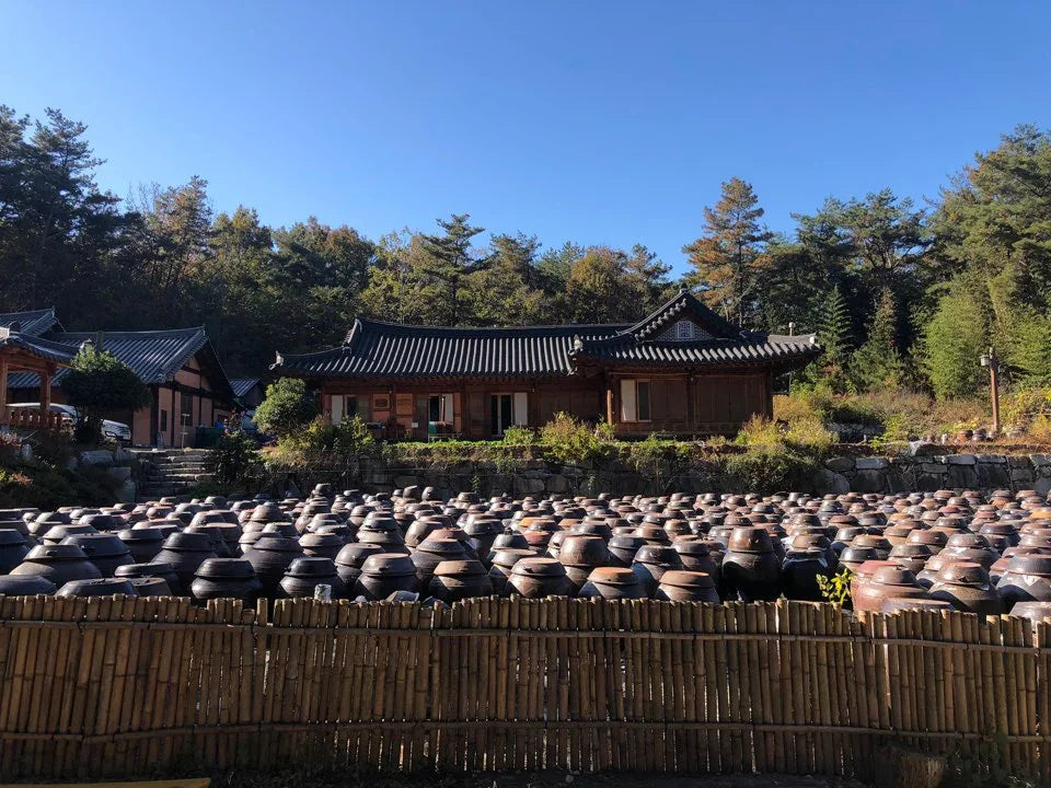 Ki Soon-do of Kisoondo 기순도 - 기순도 | Artisan