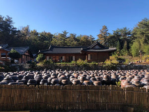 Ki Soon-do of Kisoondo 기순도 - 기순도 | Artisan