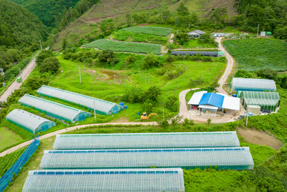 Bang Young-gil of Yeongyang Red Farm 방영길 - 영양레드팜