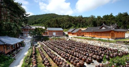 Kisoondo Traditional Ganjang 기순도 전통간장