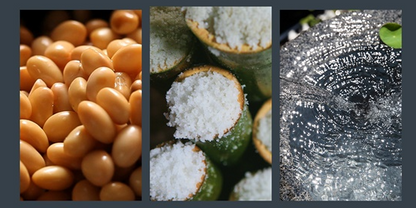 Kisoondo Extra Mature 5+ Years Ganjang 기순도 명인진장